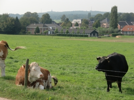 Stokkum : Molenberg, ganz in der Nähe der Mühle, gute Aussicht über das Dorf Stokkum bis nach Hoch-Elten ( Deutschland ).